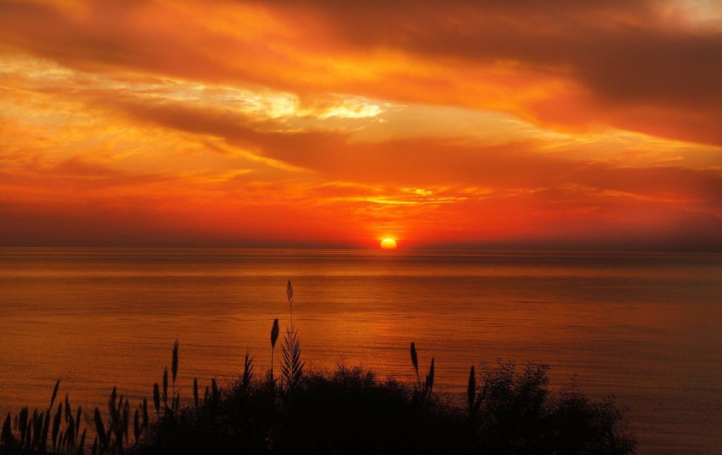 grasses, sea, sunset