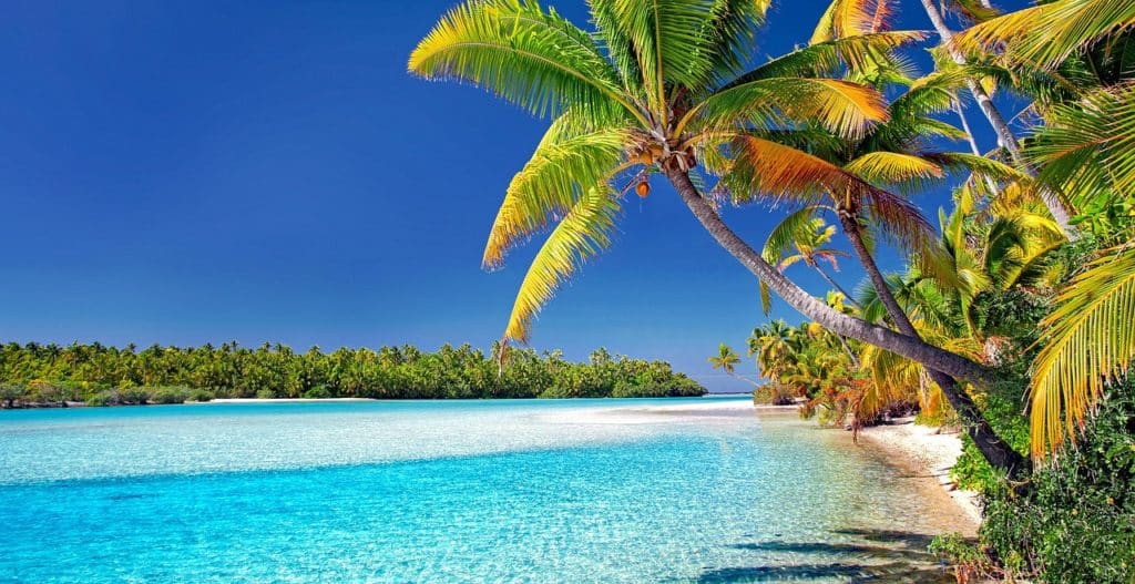 cook islands, beach, palm trees